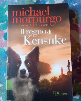 Libro - Il regno di Kensuke