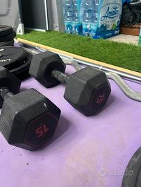 Palestra