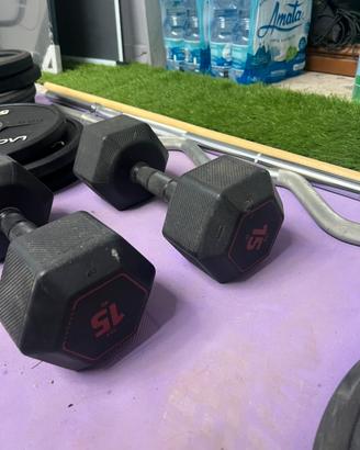 Palestra