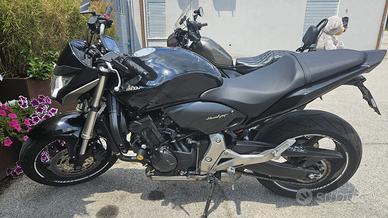 Honda hornet