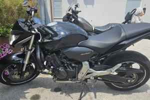 Honda hornet