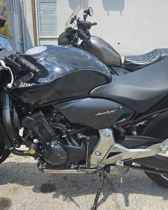 Honda hornet