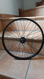 ruota posteriore 20