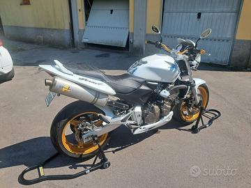 hornet 600