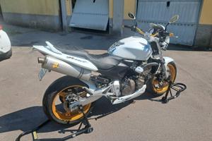 hornet 600