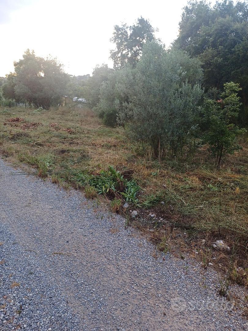 terreno a vibonati - Vista 3