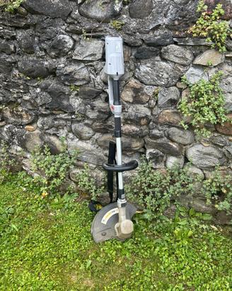 Decespugliatore elettrico Progreen