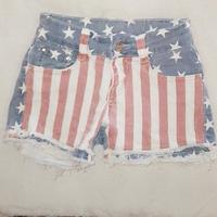 Shorts Denim Bandiera Americana