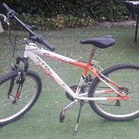 Bicicletta 24