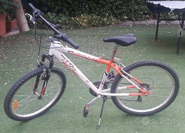 Bicicletta 24