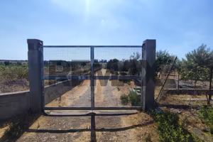 Terreno - Motta Sant'Anastasia