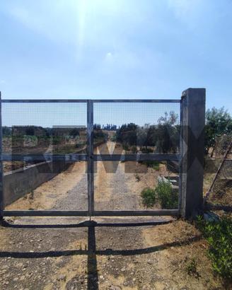 Terreno - Motta Sant'Anastasia
