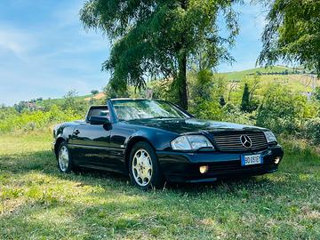 SL300 24v manuale ASI