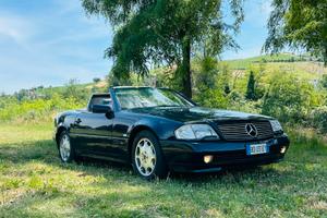 SL300 24v manuale ASI