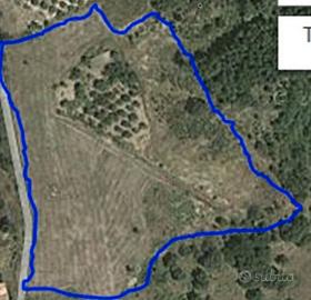 Terreno agricolo -apollosa (bn)