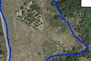 Terreno agricolo -apollosa (bn)