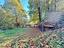 Immagine 16