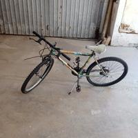 Mountain bike 
