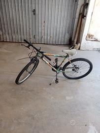 Mountain bike 