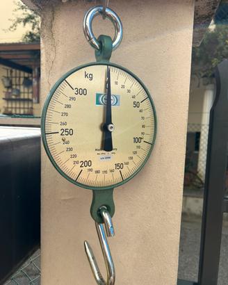 Bilancia ad orologio da appendere 0-300 kg