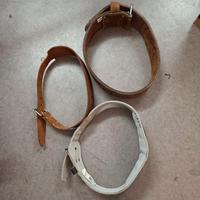 cintura per pesistica