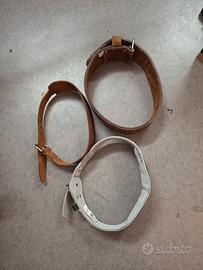 cintura per pesistica