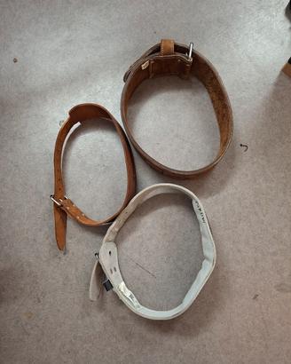 cintura per pesistica