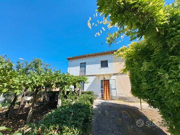 Rif 281 CASALE IN CAMPAGNA AD ELICE
