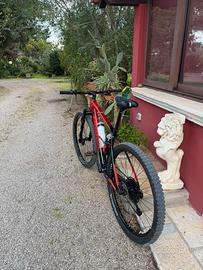 Orbea carbon L