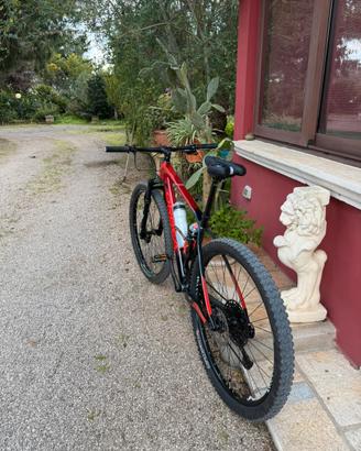 Orbea carbon L