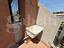 Immagine 13