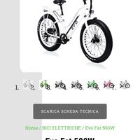 Bici Elettrica 