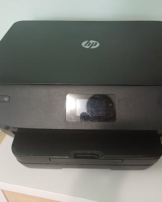 stampante HP 6230
