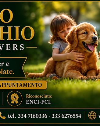 Golden Retriever cuccioli ENCI-FCI-A.S.L