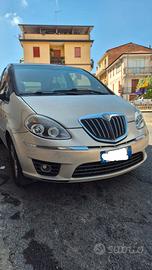 Lancia musa