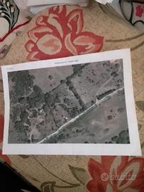 Terreno in piano agricolo