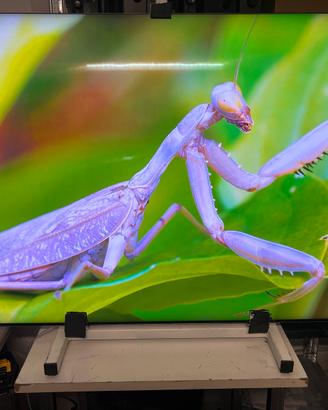 Tv samsung 8k