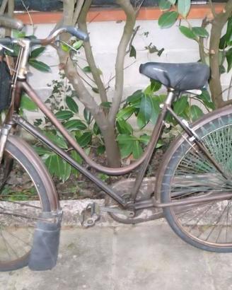 Bicicletta Edoardo Bianchi balloncino. Freni R 26"