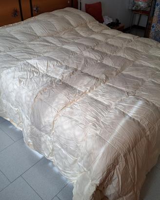 TRAPUNTA MATRIMONIALE BASSETTI