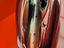 Immagine 13