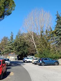 Appartamento, Potenza.