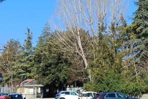 Appartamento, Potenza.