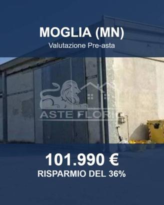 Immobile in asta di 485 m² a Moglia