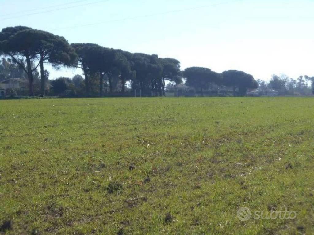 Immobile in asta di 129210 m² a Latina - Vista 5