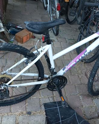 Bicicletta ragazza 26"