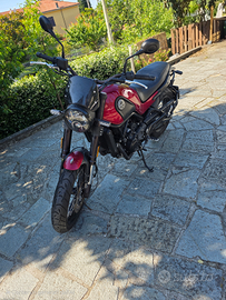 Benelli Leoncino 500 Trail 2021