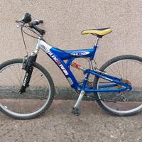 Mountain Bike cerchio 26"