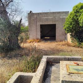 Terreno Uliveto Casa Campagna Rustico Salento