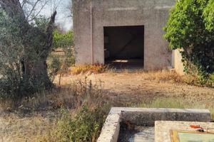 Terreno Uliveto Casa Campagna Rustico Salento