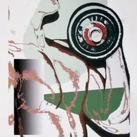 Andy Warhol multiplo 35x50